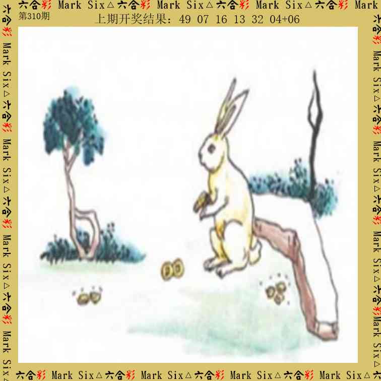 310期藏宝图[图]