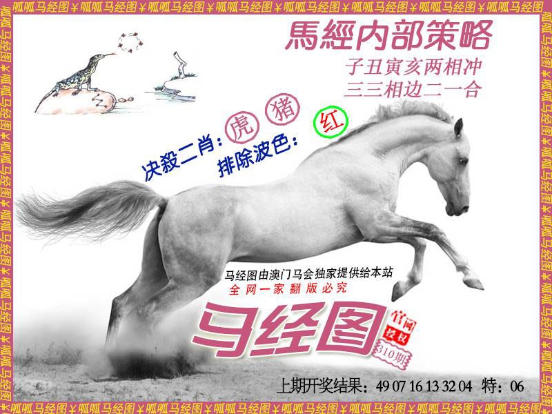 310期马经5[图]