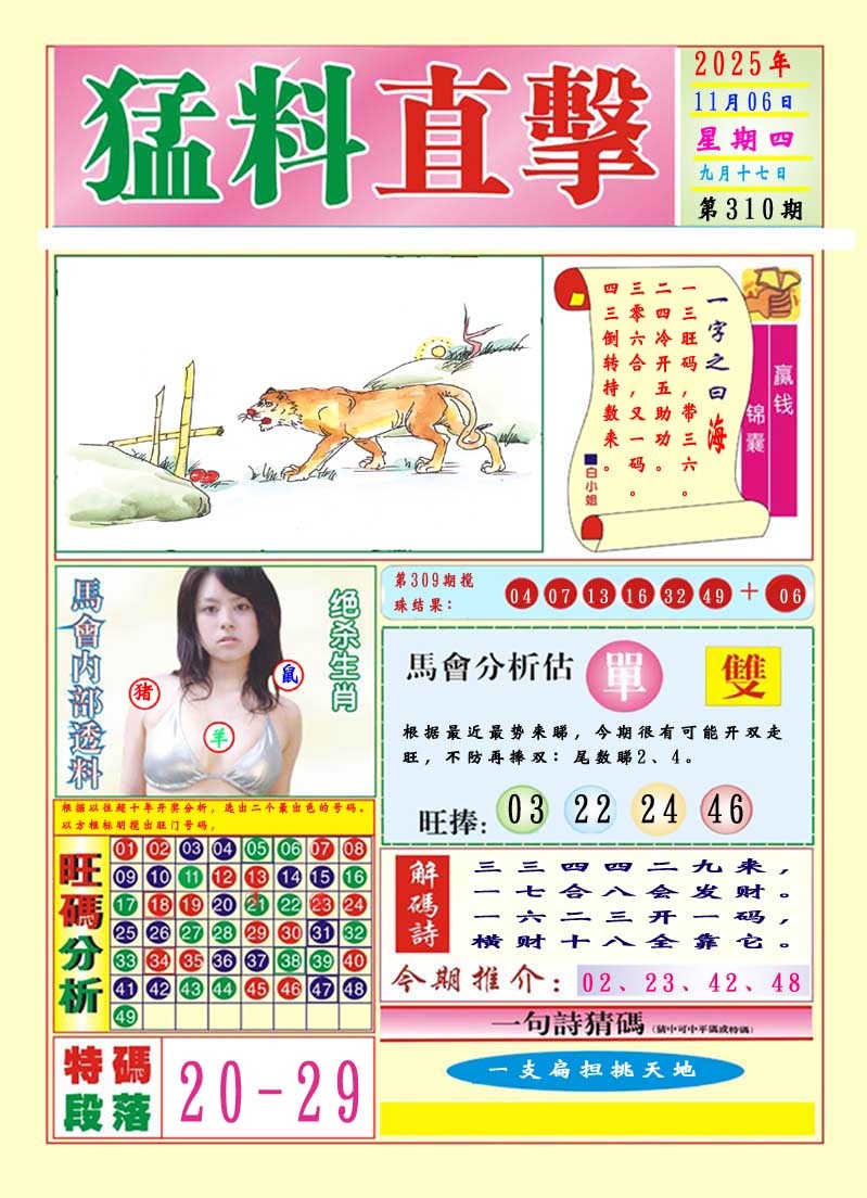 310期猛料直击A[图]