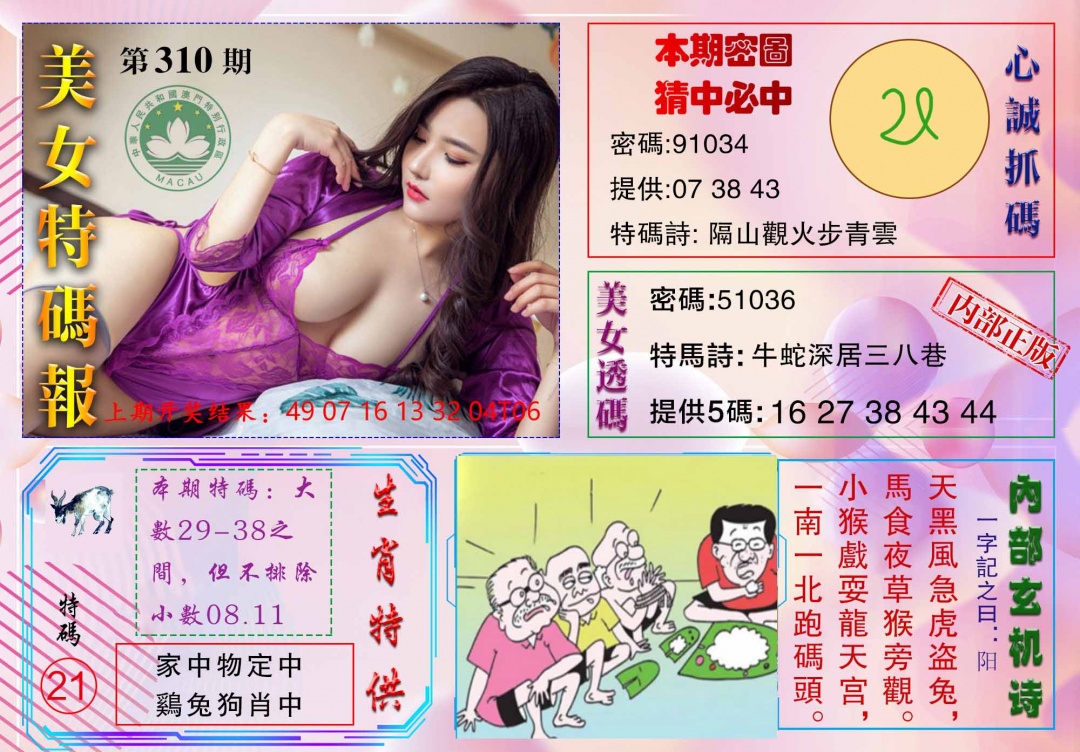 310期美女特码报[图]