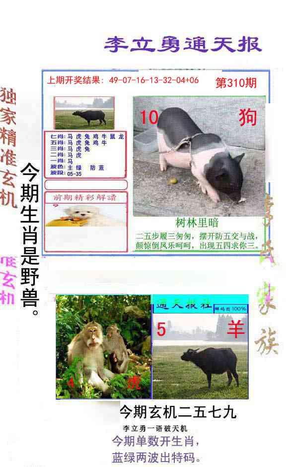 310期李立勇通天报[图]