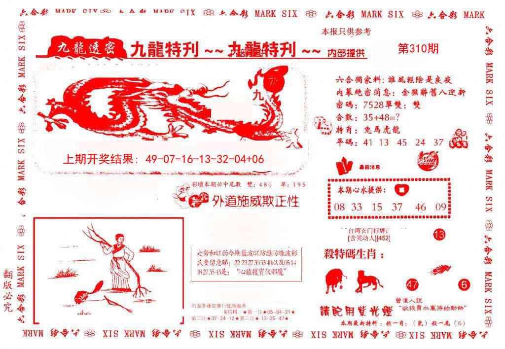 310期九龙特新刊[图]