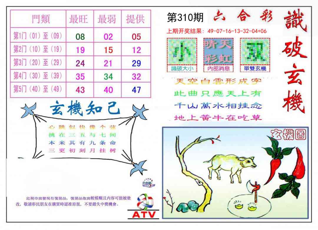 310期识破玄机[图]