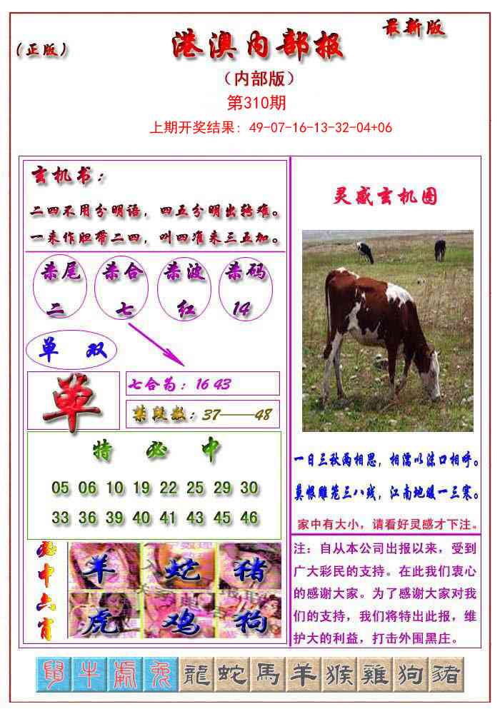 310期港澳报[图]