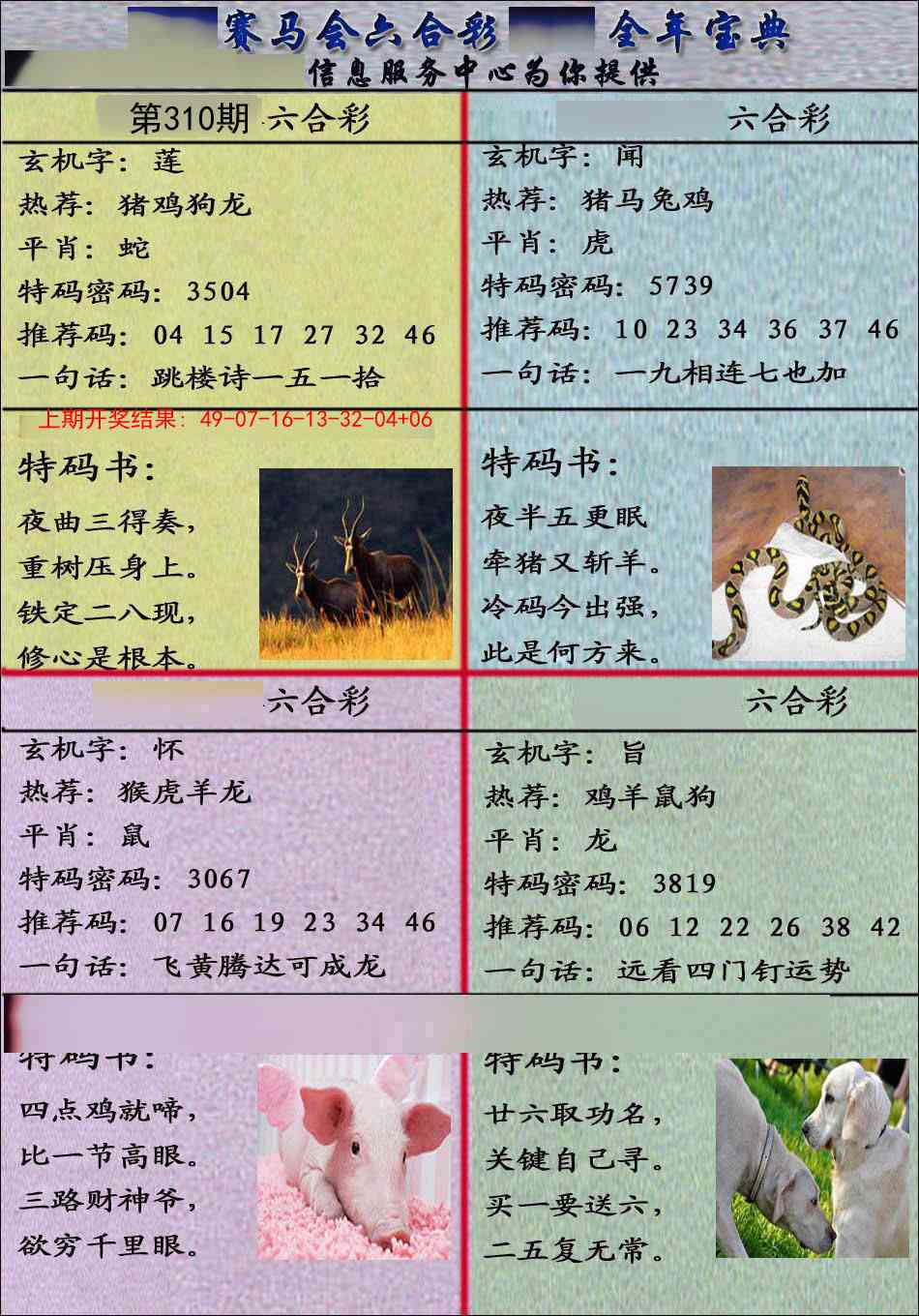 310期宝典报[图]