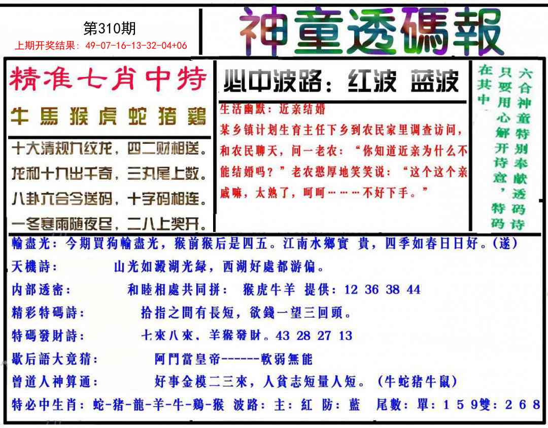 310期神童透码报[图]