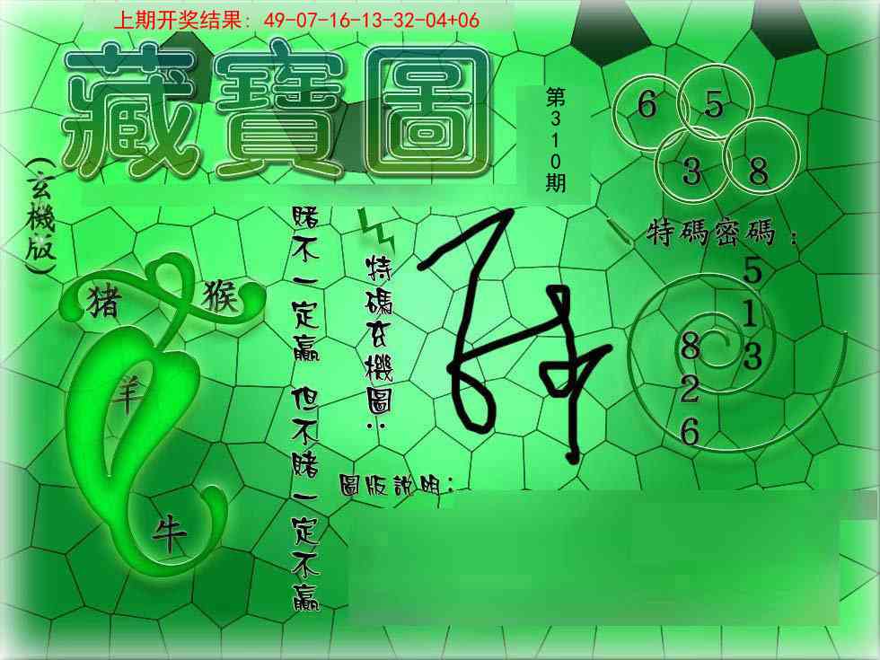 310期九龍玄机报[图]