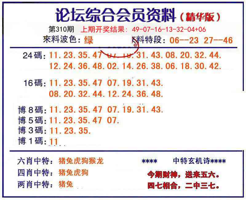 310期综合会员资料[图]