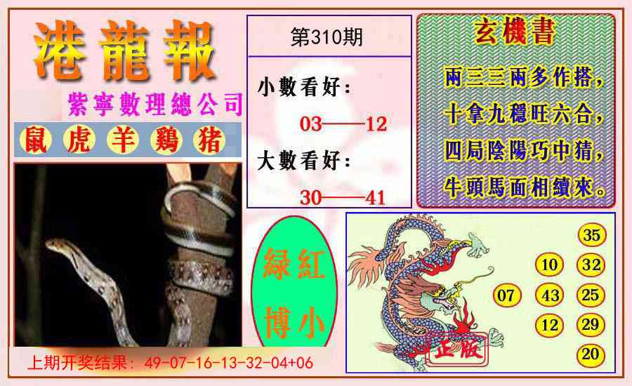 310期港龙报[图]