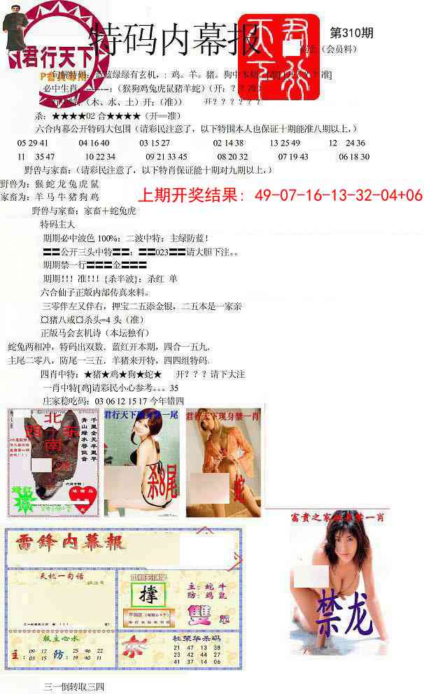 310期特码内幕报[图]