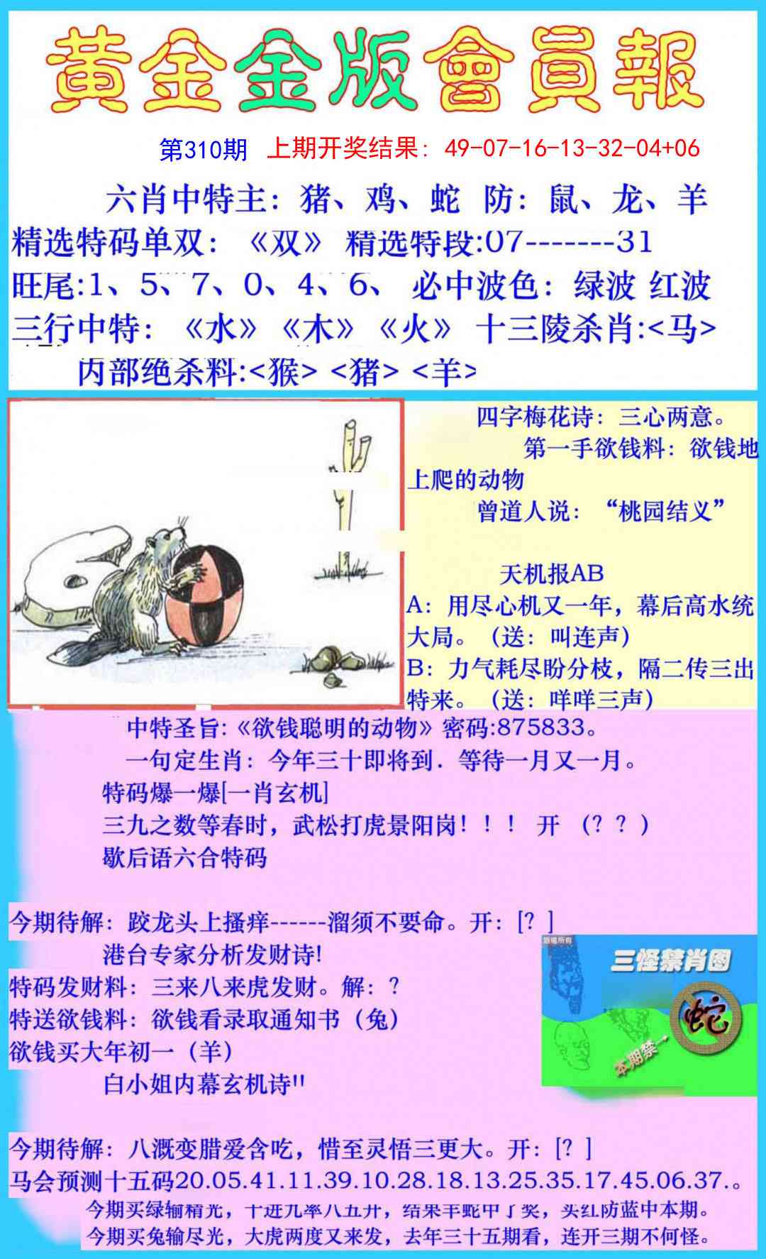 310期黄金金版会员报[图]