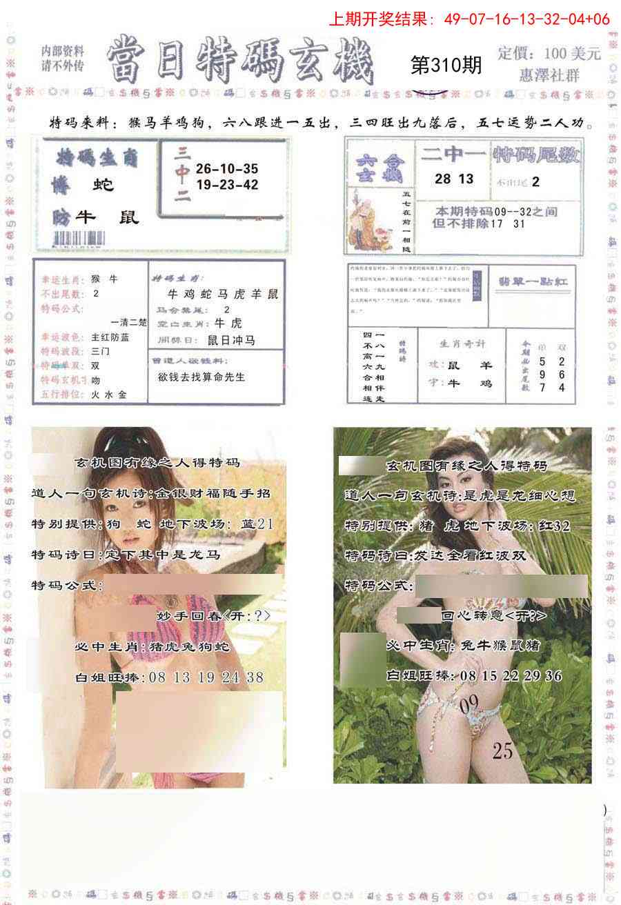 310期当日特码玄机-2[图]