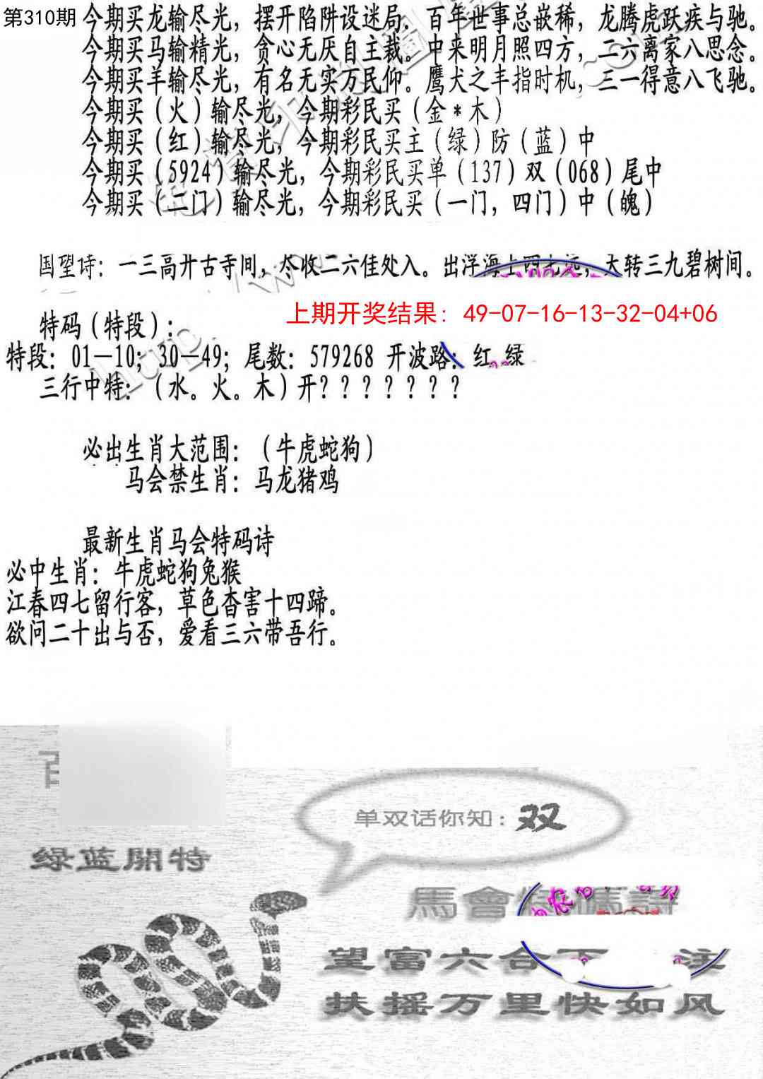 310期蛇报B[图]