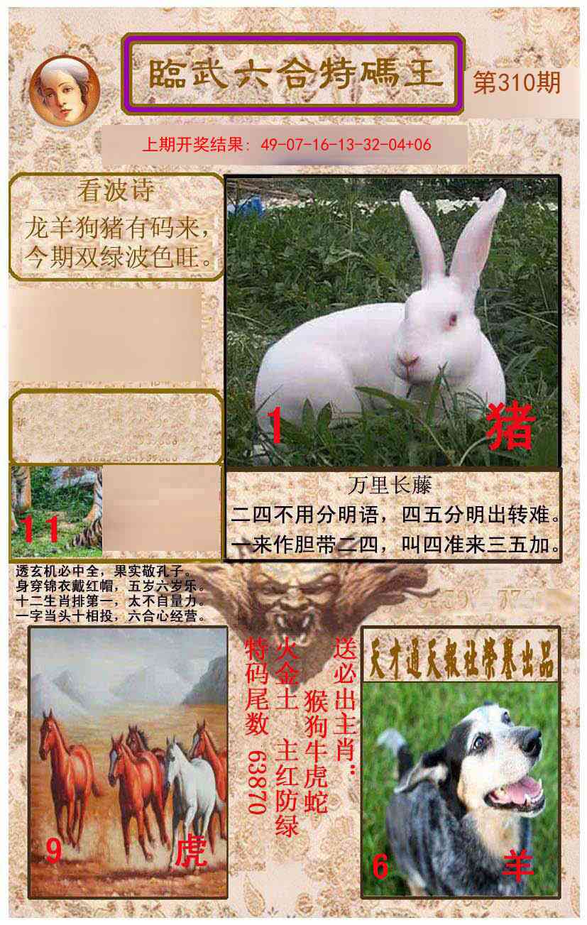 310期临武六合特码王[图]