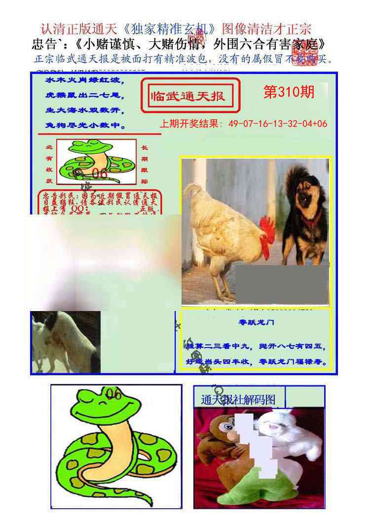 310期临武通天报[图]