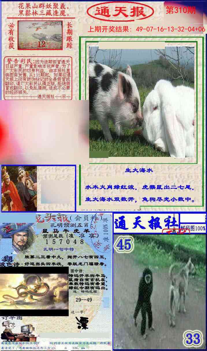 310期实力通天报[图]