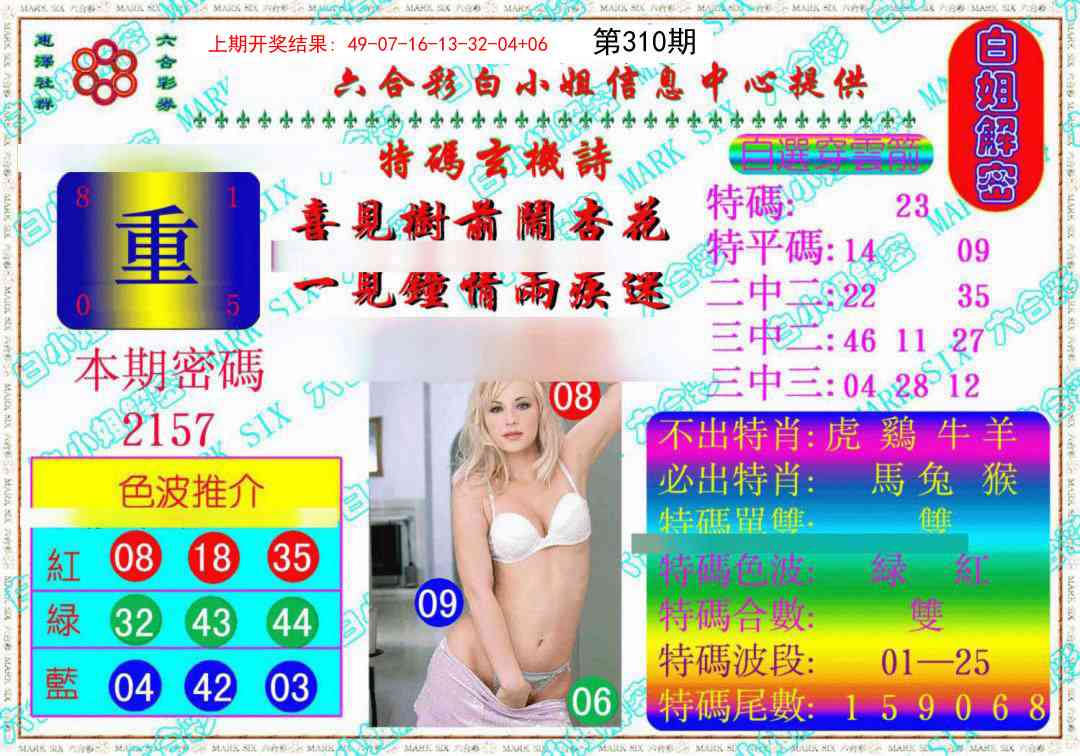 310期白姐解密《另版》[图]