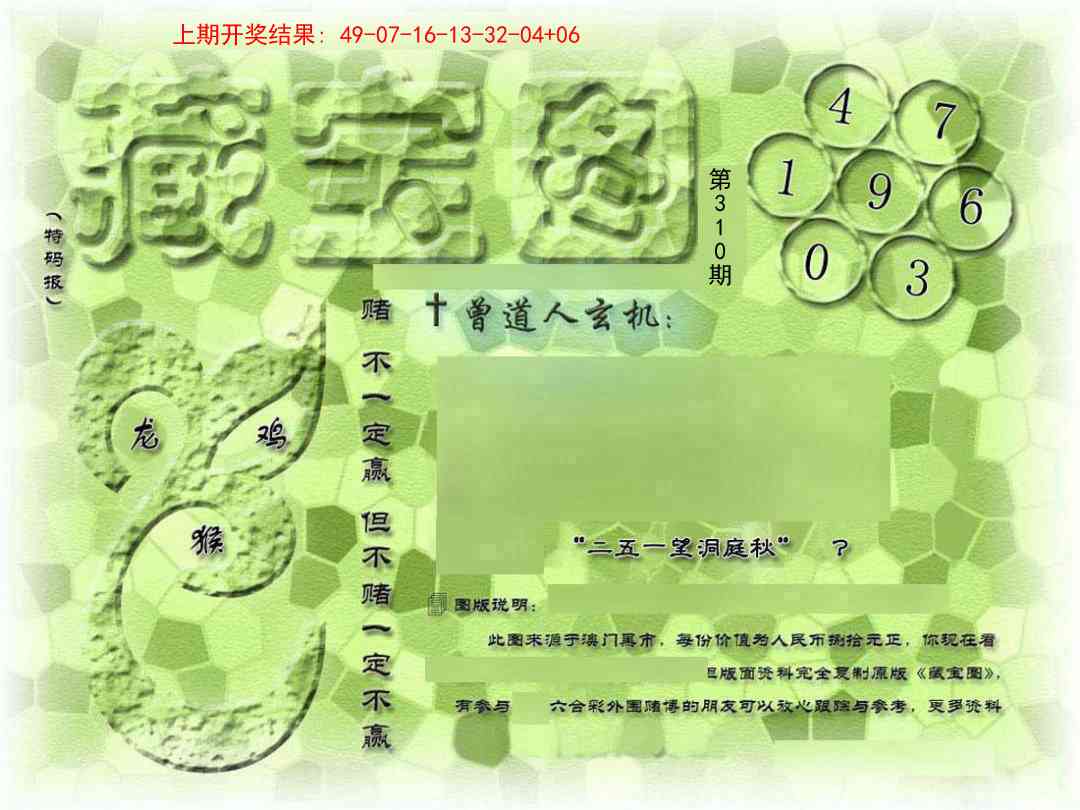 310期假新藏宝图[图]
