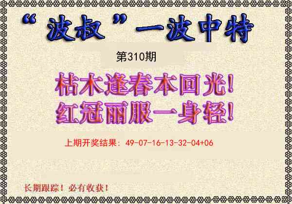 310期波叔一波中特[图]