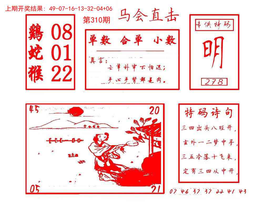 310期马会直击[图]