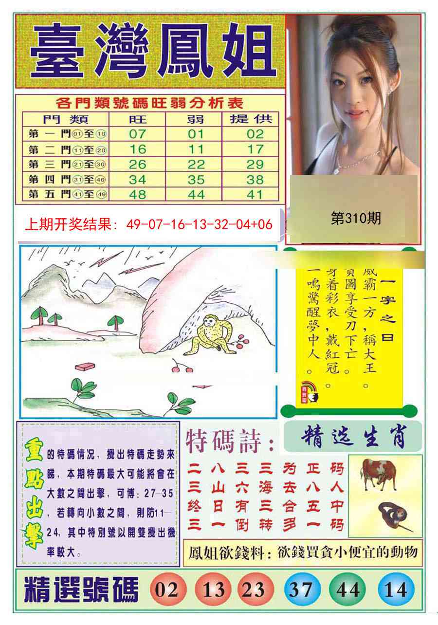 310期台湾凤姐[图]