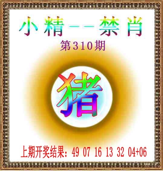310期小精禁肖[图]