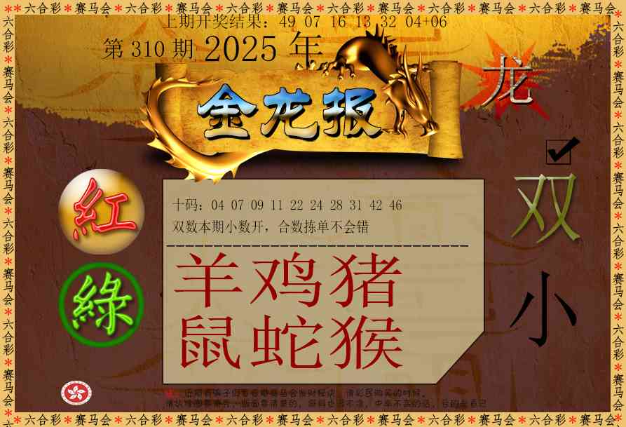 310期金龙报[图]