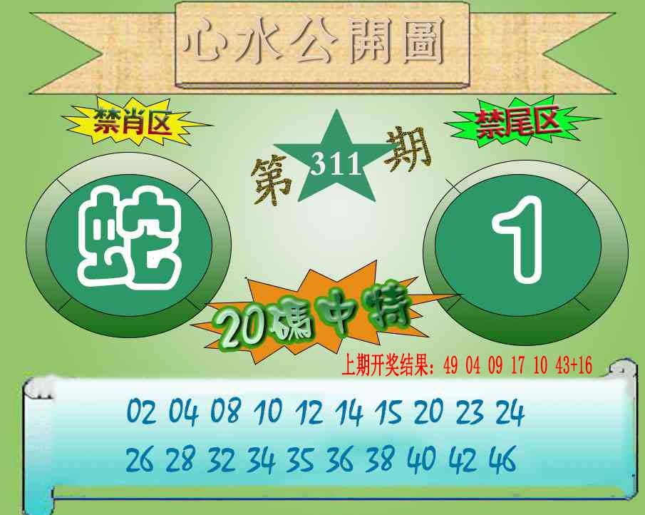 311期心水公开图[图]