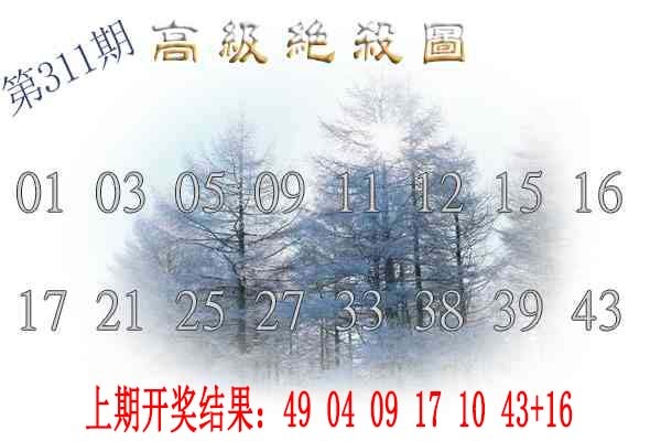 311期高级内部绝杀[图]