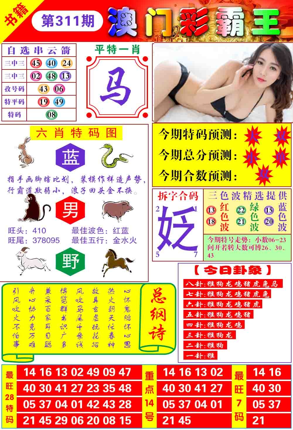 311期澳门彩霸王[图]
