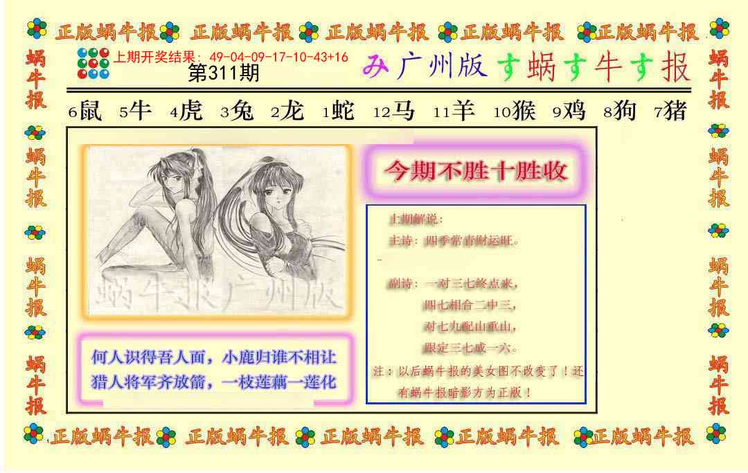 311期正版蜗牛报[图]
