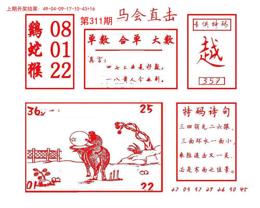 311期马会直击[图]