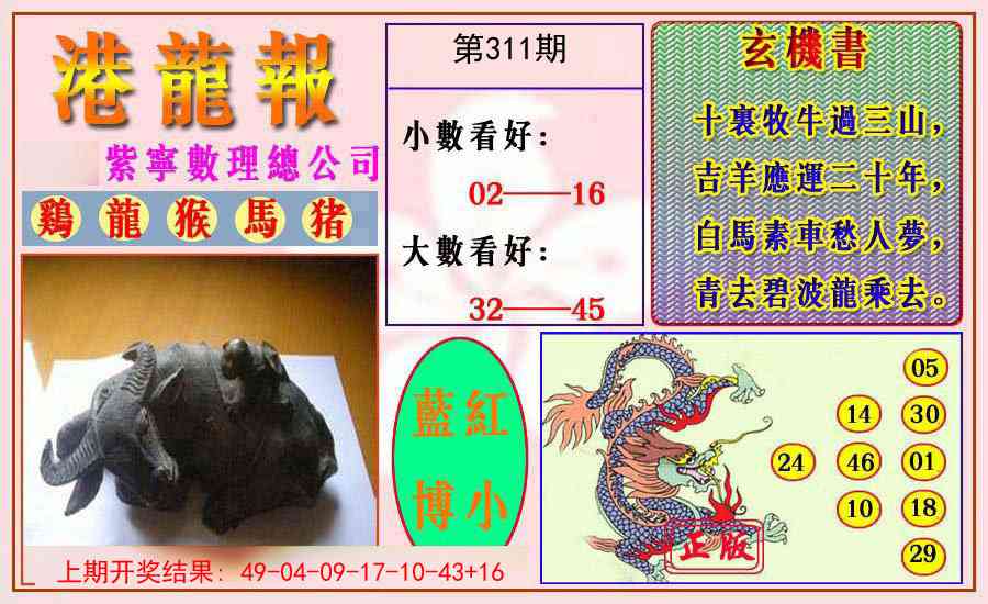 311期港龙报[图]