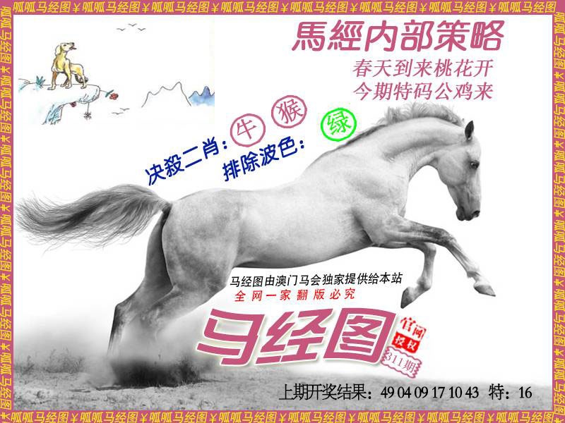 311期马经5[图]