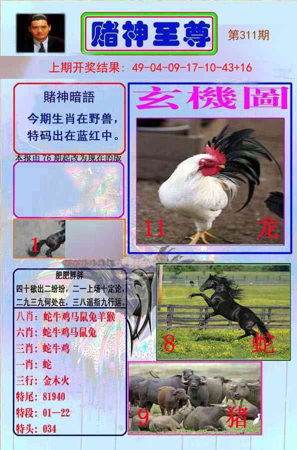 311期赌神至尊[图]