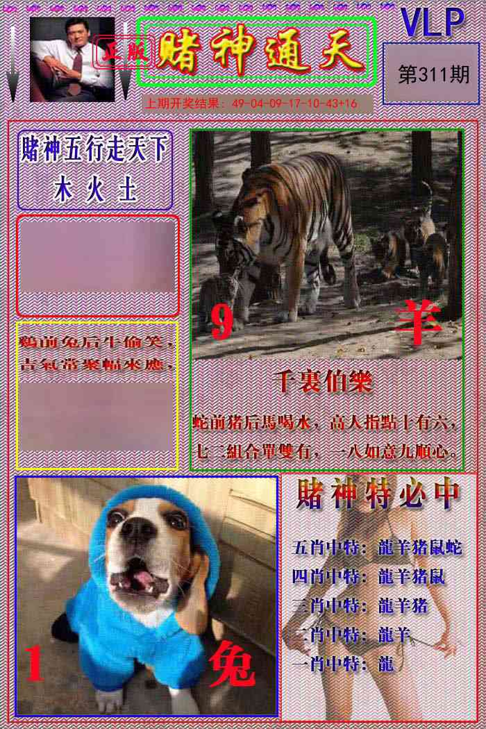 311期赌神通天报[图]