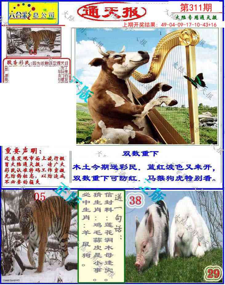 311期大陆通天报[图]