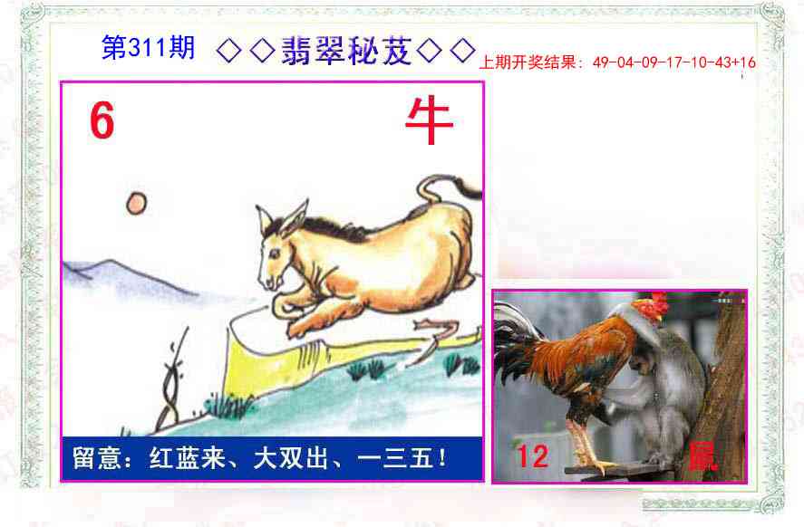 311期翡翠报[图]