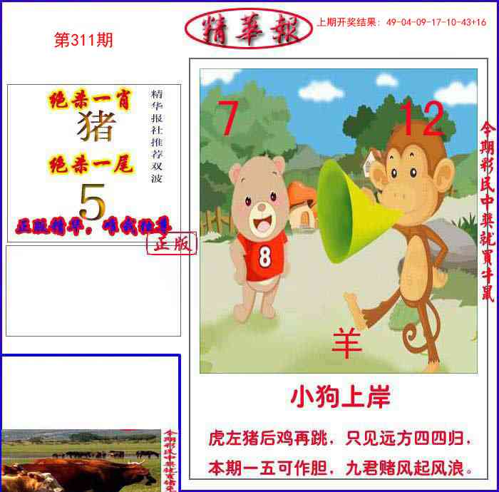 311期新精华报报[图]