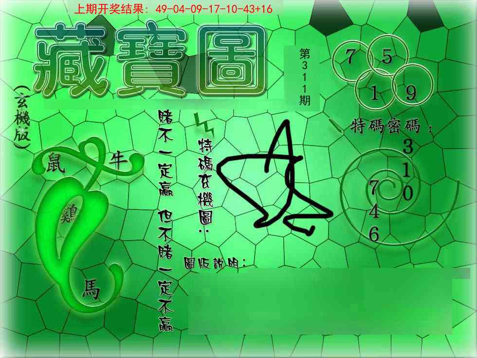 311期九龍玄机报[图]