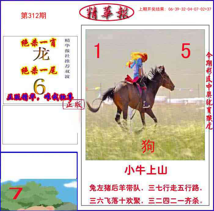 312期新精华报报[图]