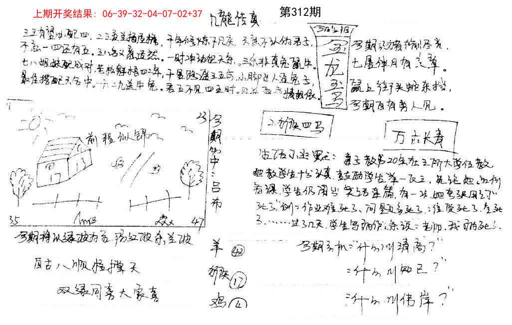 312期手写九龙内幕[图]
