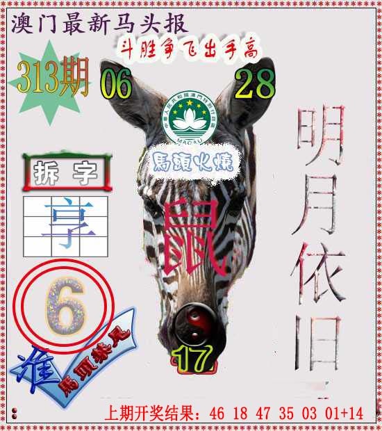 313期马头报[图]