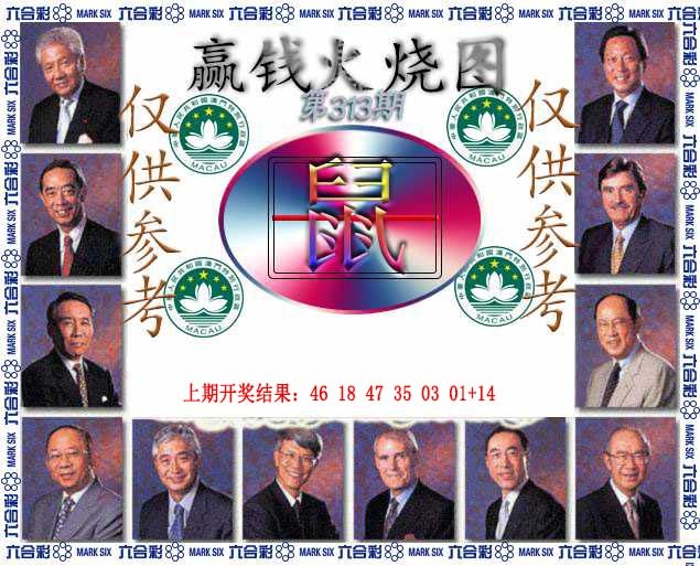 313期赢钱火烧图[图]