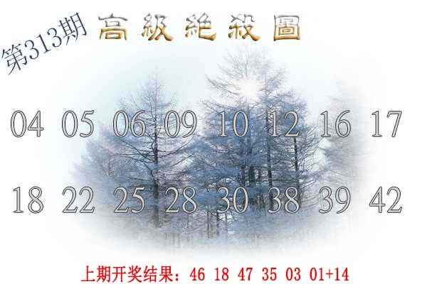 313期高级内部绝杀[图]