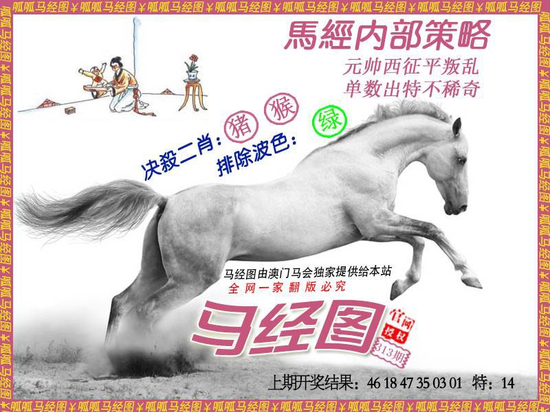 313期马经5[图]