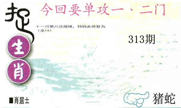 313期捉生肖[图]