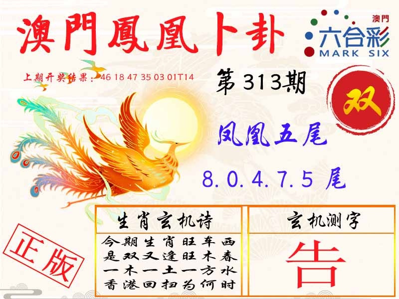 313期凤凰卜卦[图]