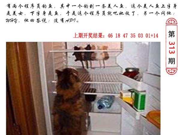 313期澳门生活幽默[图]