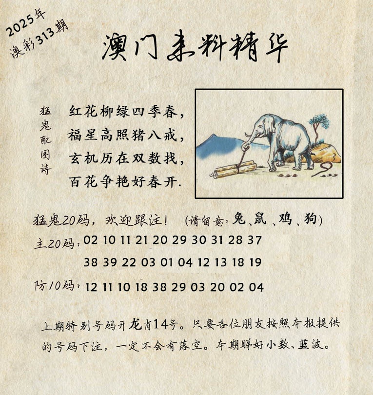 313期澳门来料精华[图]